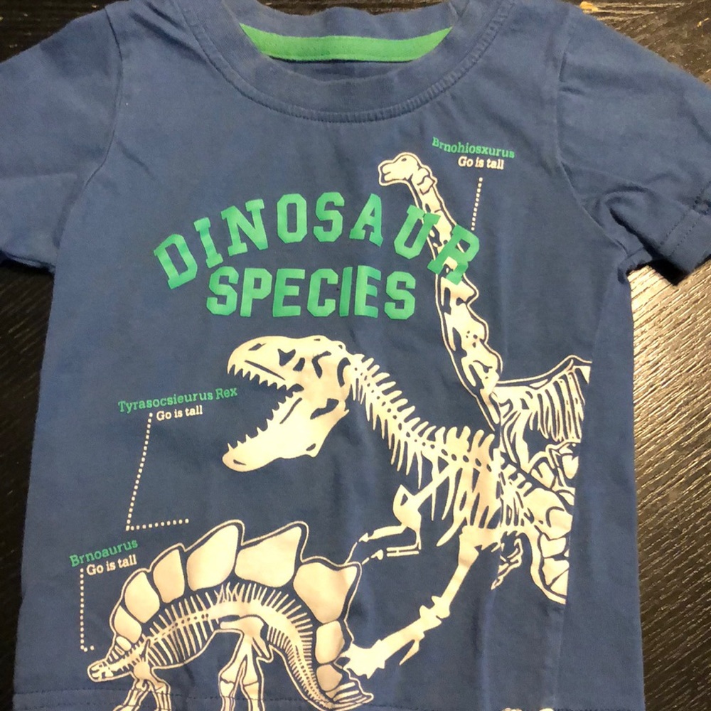 Dinosaur kids shirt